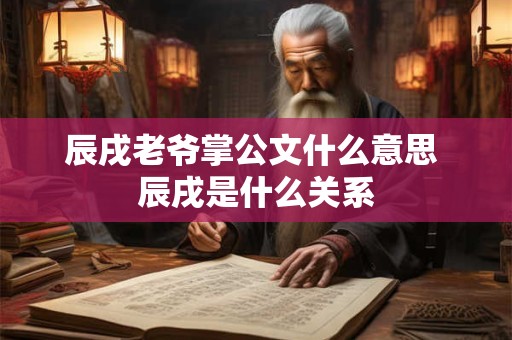 辰戌老爷掌公文什么意思 辰戌是什么关系