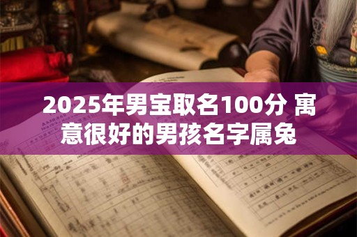 2025年男宝取名100分 寓意很好的男孩名字属兔