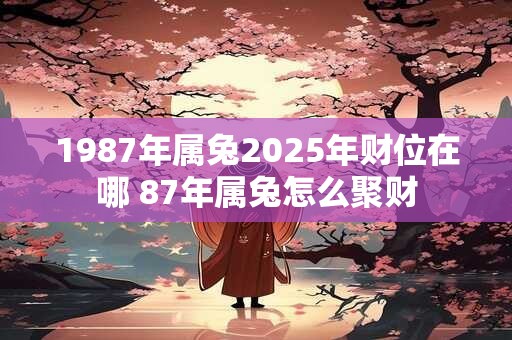 1987年属兔2025年财位在哪 87年属兔怎么聚财