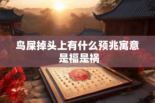 鸟屎掉头上有什么预兆寓意 是福是祸