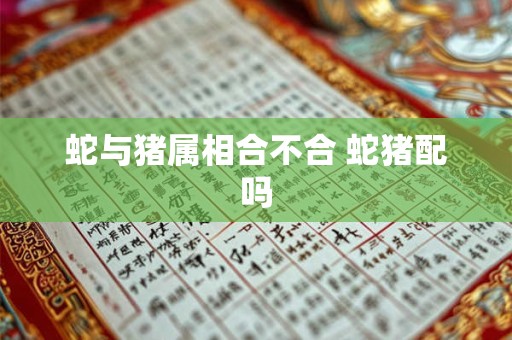 蛇与猪属相合不合 蛇猪配吗