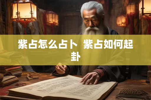 紫占怎么占卜  紫占如何起卦