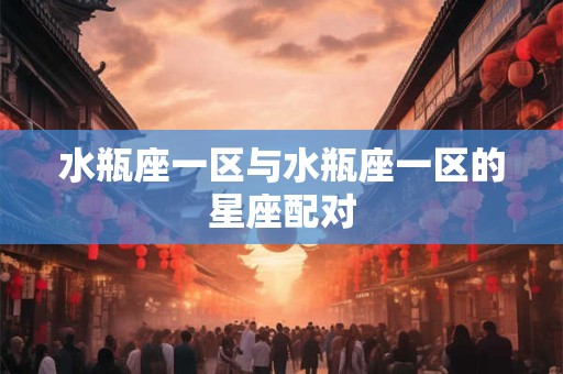 水瓶座一区与水瓶座一区的星座配对