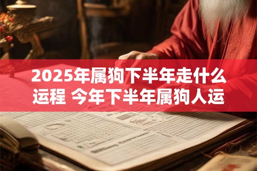 2025年属狗下半年走什么运程 今年下半年属狗人运势如何