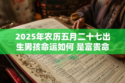 2025年农历五月二十七出生男孩命运如何 是富贵命吗