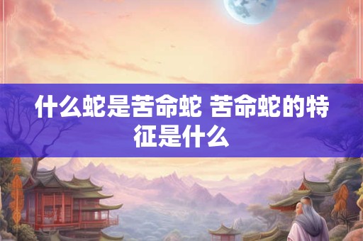什么蛇是苦命蛇 苦命蛇的特征是什么