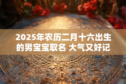 2025年农历二月十六出生的男宝宝取名 大气又好记
