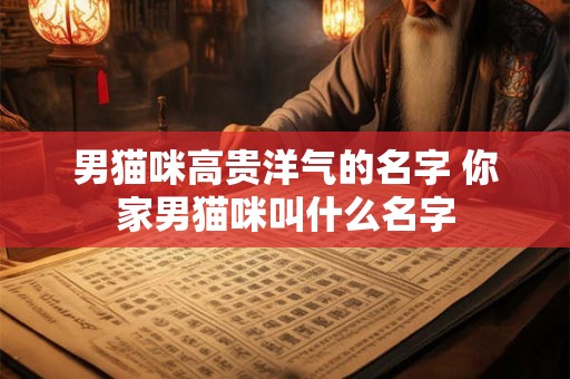 男猫咪高贵洋气的名字 你家男猫咪叫什么名字