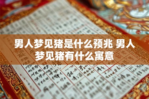 男人梦见猪是什么预兆 男人梦见猪有什么寓意