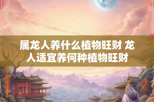 属龙人养什么植物旺财 龙人适宜养何种植物旺财