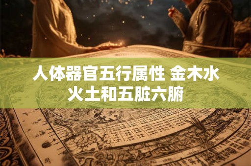 人体器官五行属性 金木水火土和五脏六腑