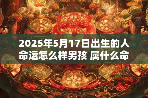 2025年5月17日出生的人命运怎么样男孩 属什么命