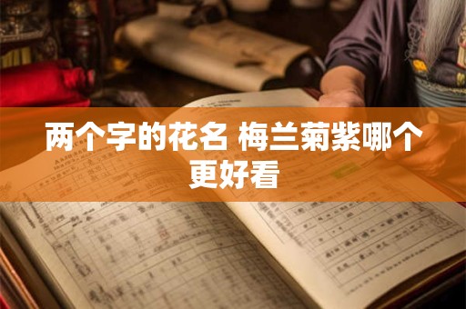 两个字的花名 梅兰菊紫哪个更好看