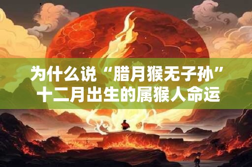 为什么说“腊月猴无子孙” 十二月出生的属猴人命运解析