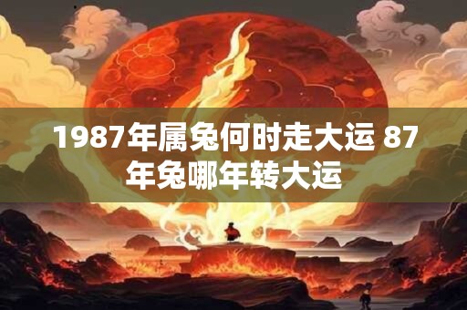 1987年属兔何时走大运 87年兔哪年转大运