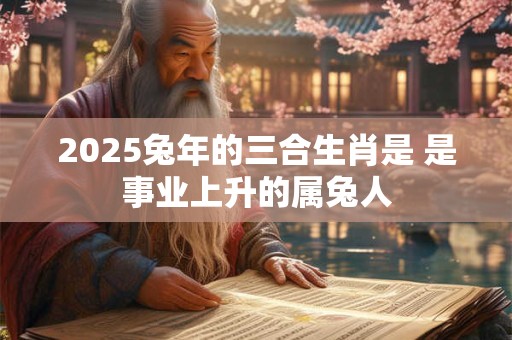 2025兔年的三合生肖是 是事业上升的属兔人