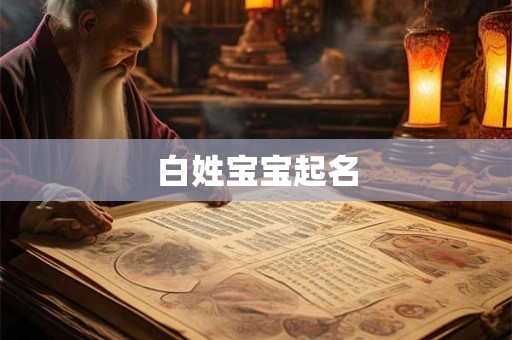 白姓宝宝起名