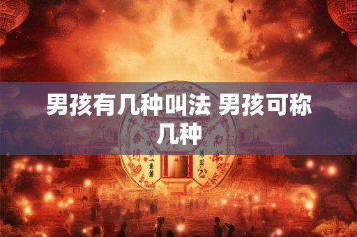 男孩有几种叫法 男孩可称几种