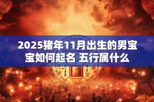 2025猪年11月出生的男宝宝如何起名 五行属什么