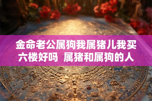 金命老公属狗我属猪儿我买六楼好吗  属猪和属狗的人相配吗