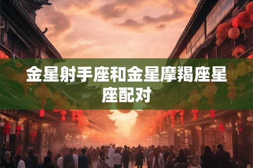 金星射手座和金星摩羯座星座配对