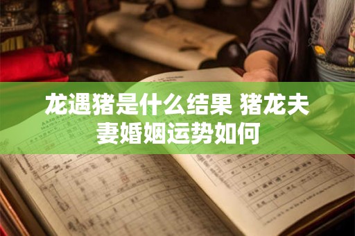 龙遇猪是什么结果 猪龙夫妻婚姻运势如何