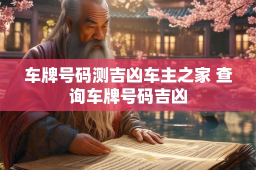 车牌号码测吉凶车主之家 查询车牌号码吉凶