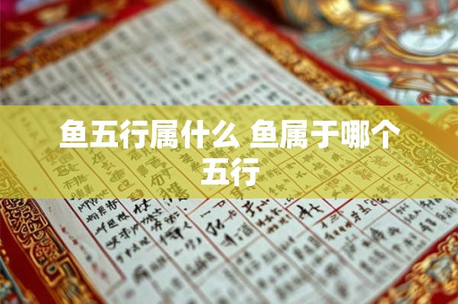 鱼五行属什么 鱼属于哪个五行