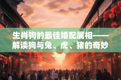 生肖狗的最佳婚配属相——解读狗与兔、虎、猪的奇妙组合
