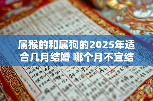 属猴的和属狗的2025年适合几月结婚 哪个月不宜结婚