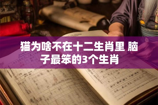 猫为啥不在十二生肖里 脑子最笨的3个生肖