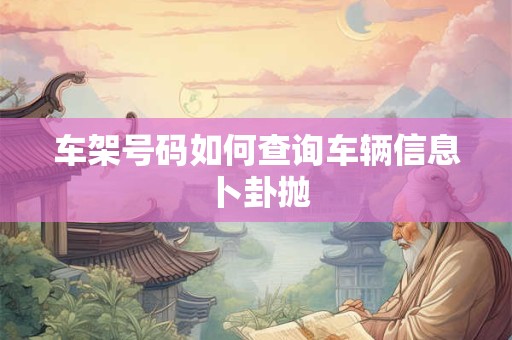 车架号码如何查询车辆信息 卜卦抛