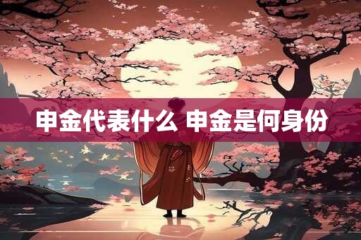 申金代表什么 申金是何身份