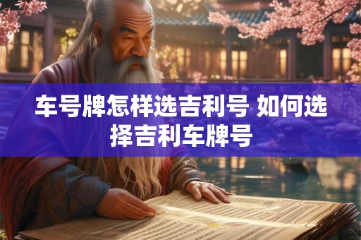 车号牌怎样选吉利号 如何选择吉利车牌号