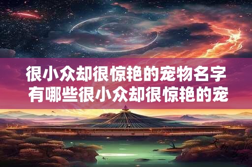 很小众却很惊艳的宠物名字 有哪些很小众却很惊艳的宠物名字