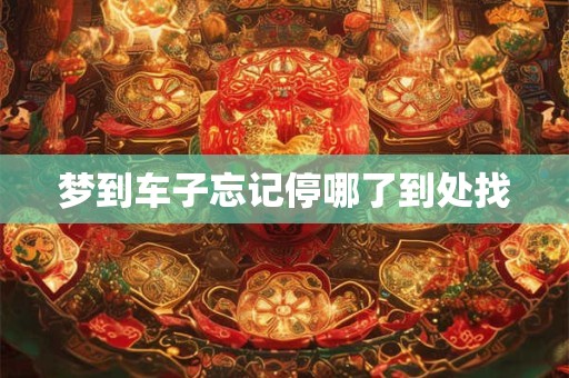 梦到车子忘记停哪了到处找