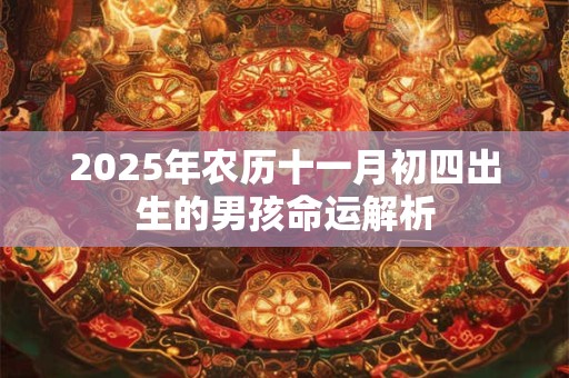 2025年农历十一月初四出生的男孩命运解析 2025年农历十一月初四出生的男孩命运解析