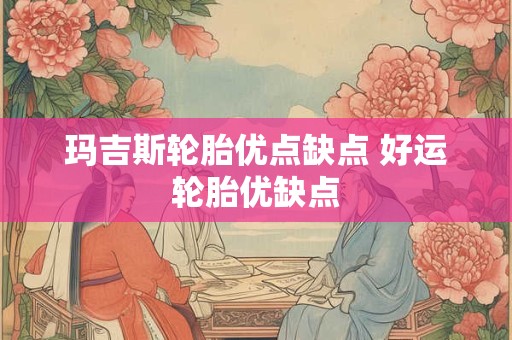 玛吉斯轮胎优点缺点 好运轮胎优缺点