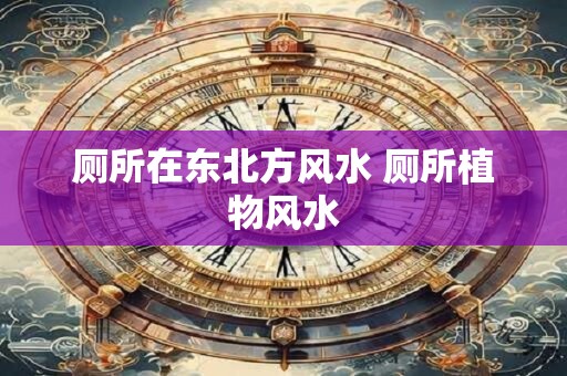 厕所在东北方风水 厕所植物风水