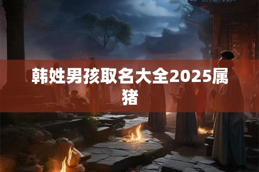 韩姓男孩取名大全2025属猪