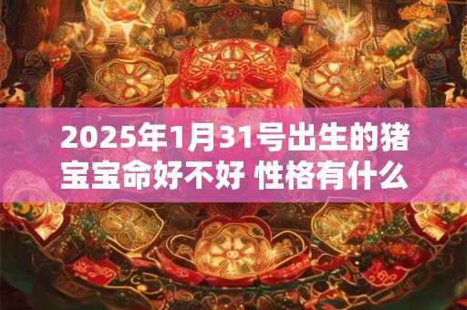 2025年1月31号出生的猪宝宝命好不好 性格有什么特点
