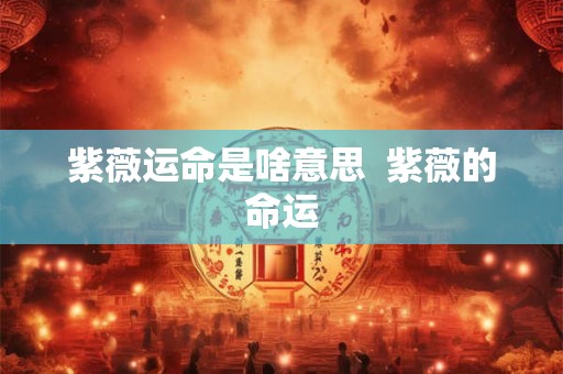 紫薇运命是啥意思  紫薇的命运