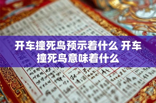 开车撞死鸟预示着什么 开车撞死鸟意味着什么