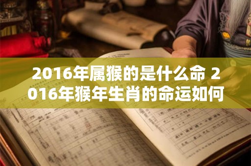 2016年属猴的是什么命 2016年猴年生肖的命运如何