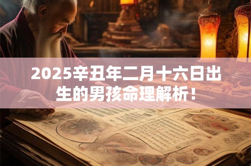 2026辛丑年二月十六日出生的男孩命理解析! 2026辛丑年二月十六日出生的男孩命理解析!