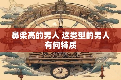 鼻梁高的男人 这类型的男人有何特质