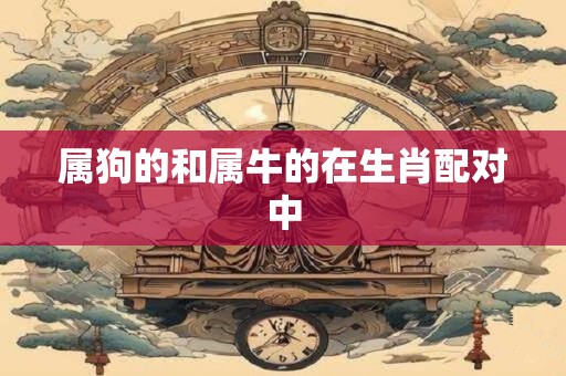 属狗的和属牛的在生肖配对中