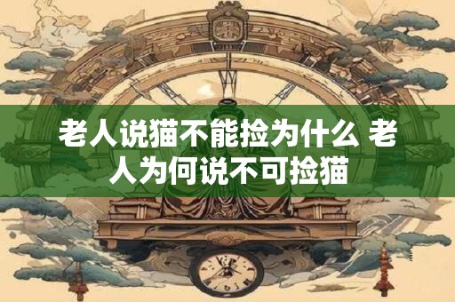 老人说猫不能捡为什么 老人为何说不可捡猫