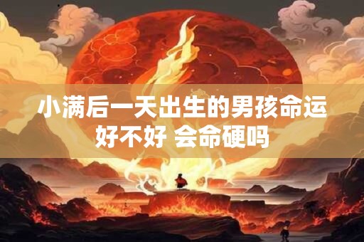 小满后一天出生的男孩命运好不好 会命硬吗