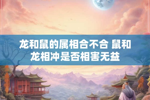 龙和鼠的属相合不合 鼠和龙相冲是否相害无益